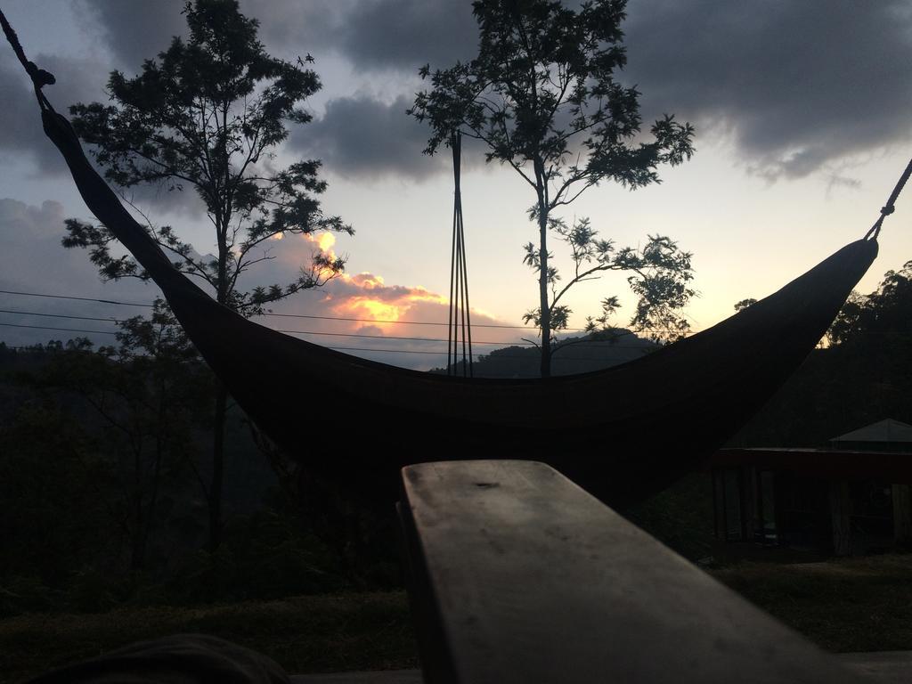 The Chillout Ella Bed & Breakfast Ngoại thất bức ảnh