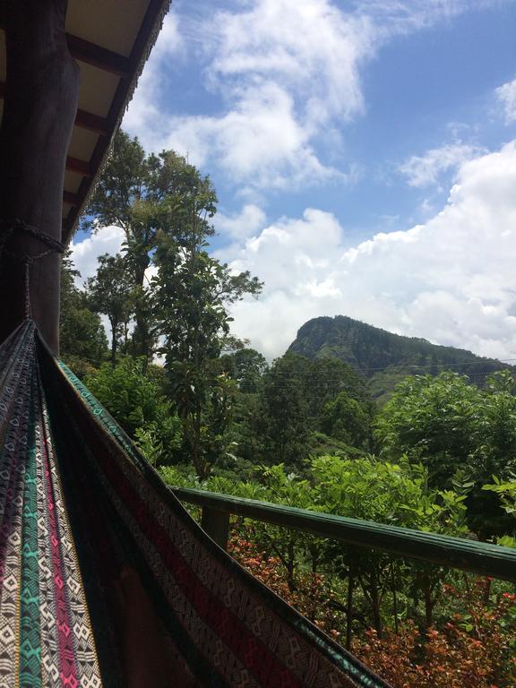The Chillout Ella Bed & Breakfast Ngoại thất bức ảnh