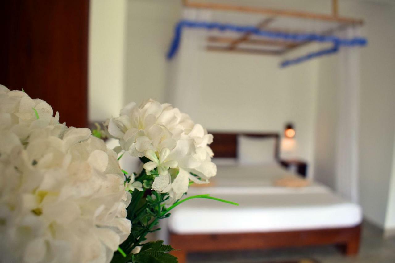 The Chillout Ella Bed & Breakfast Ngoại thất bức ảnh